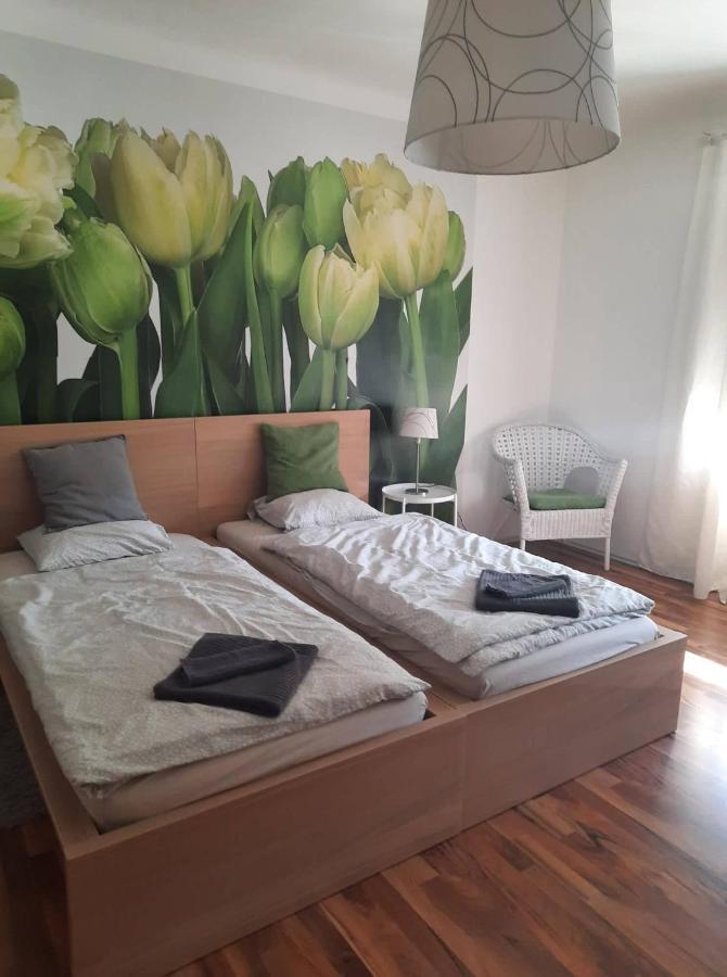 Das Tulpen Apartment ไวเดน อัม ซี ภายนอก รูปภาพ
