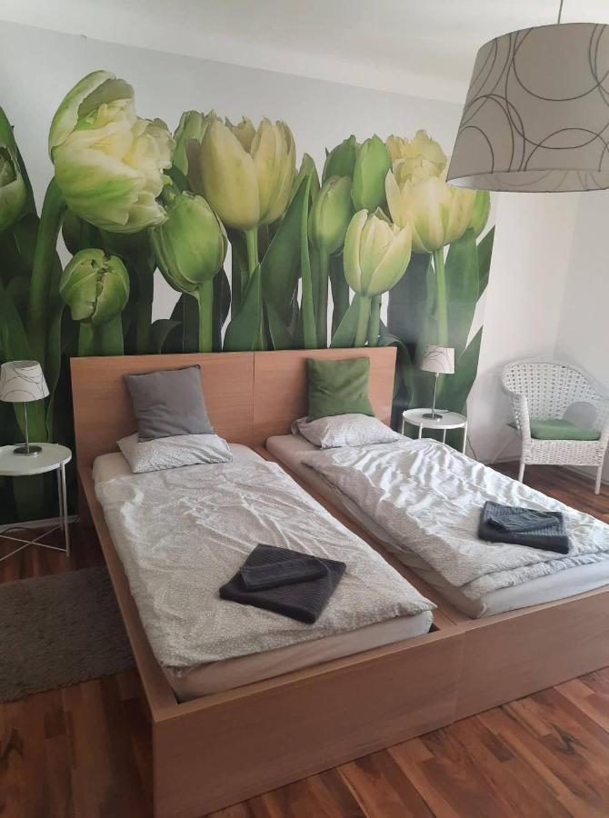 Das Tulpen Apartment ไวเดน อัม ซี ภายนอก รูปภาพ