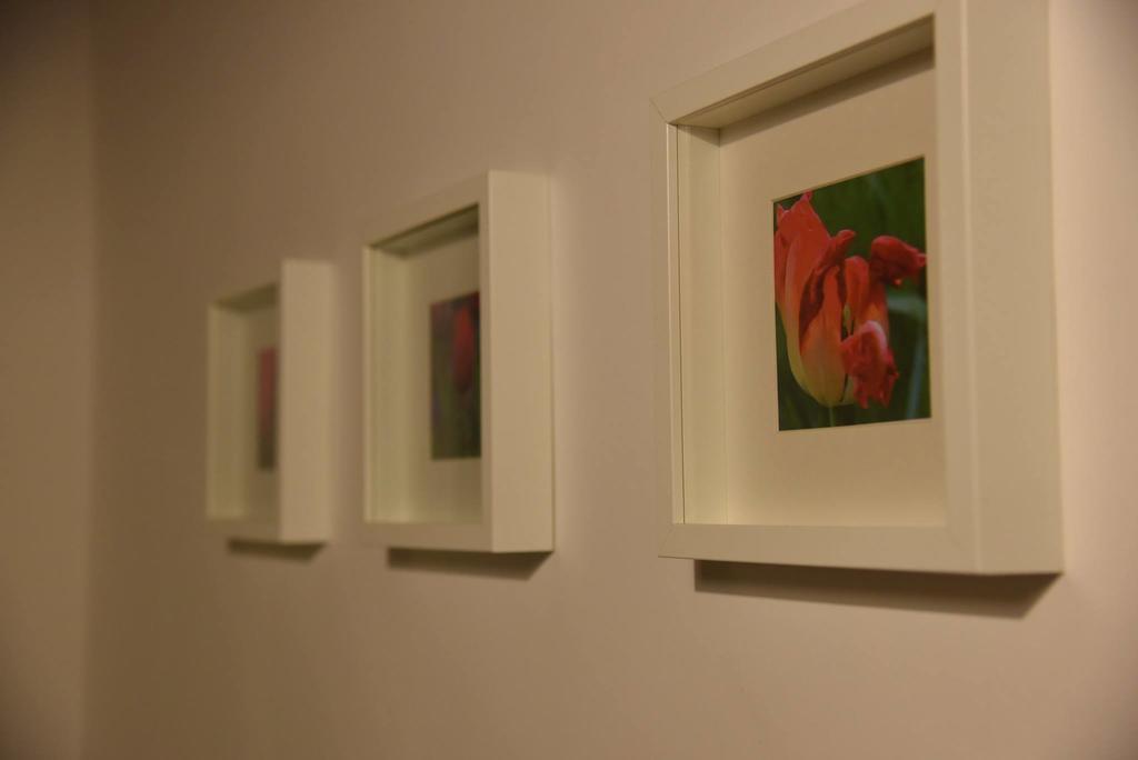 Das Tulpen Apartment ไวเดน อัม ซี ภายนอก รูปภาพ